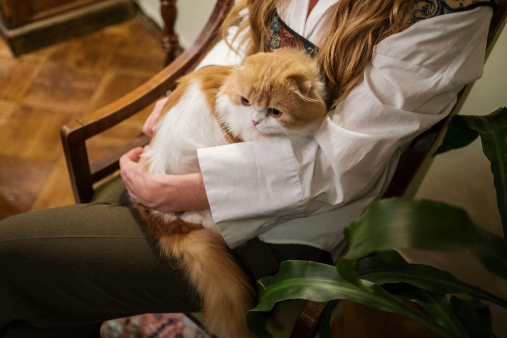 A woman gently holds a fluffy orange cat on her lap indoors, surrounded by greenery.